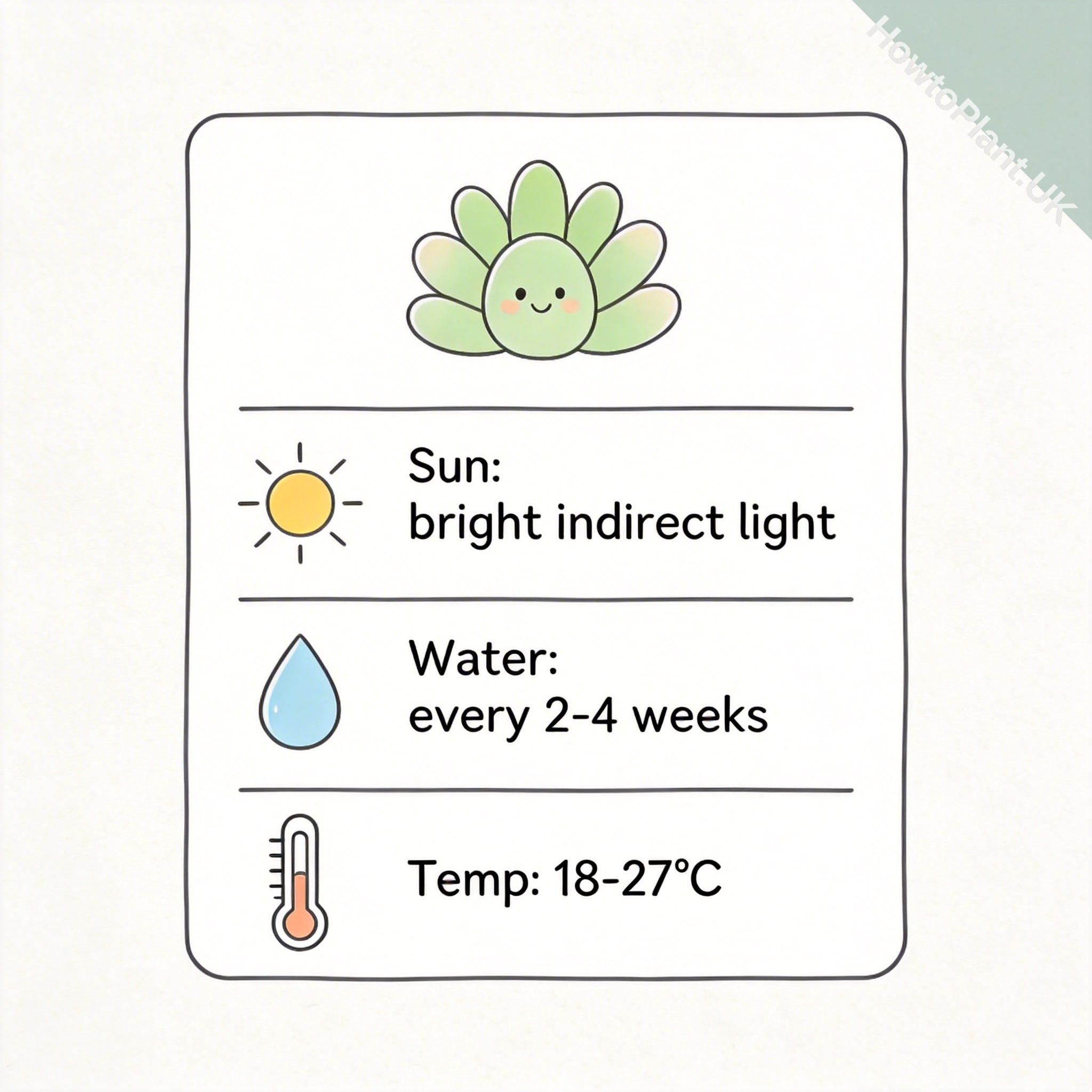 Aloe Vera care instruction card