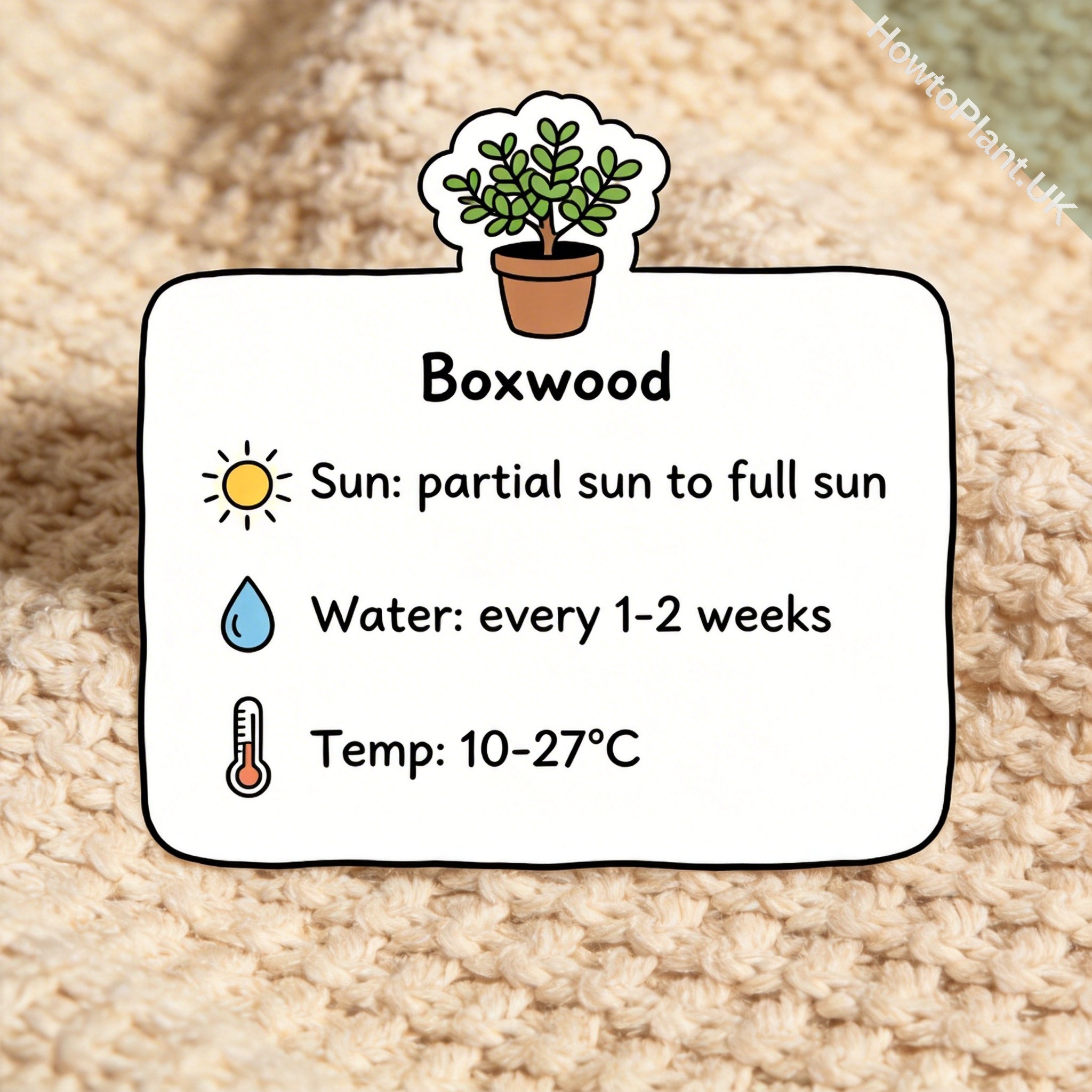 Boxwood care instruction card