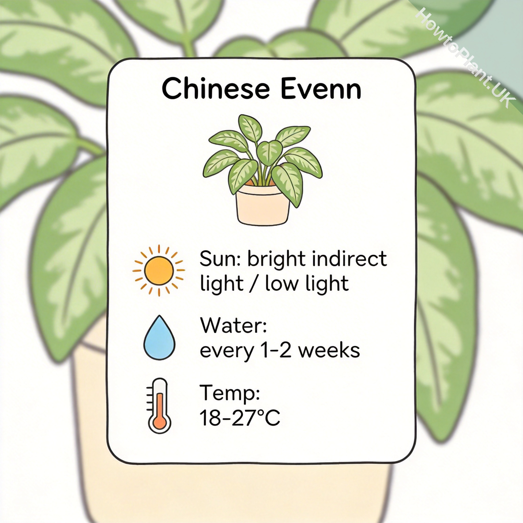 Chinese Evergreen care instruction card