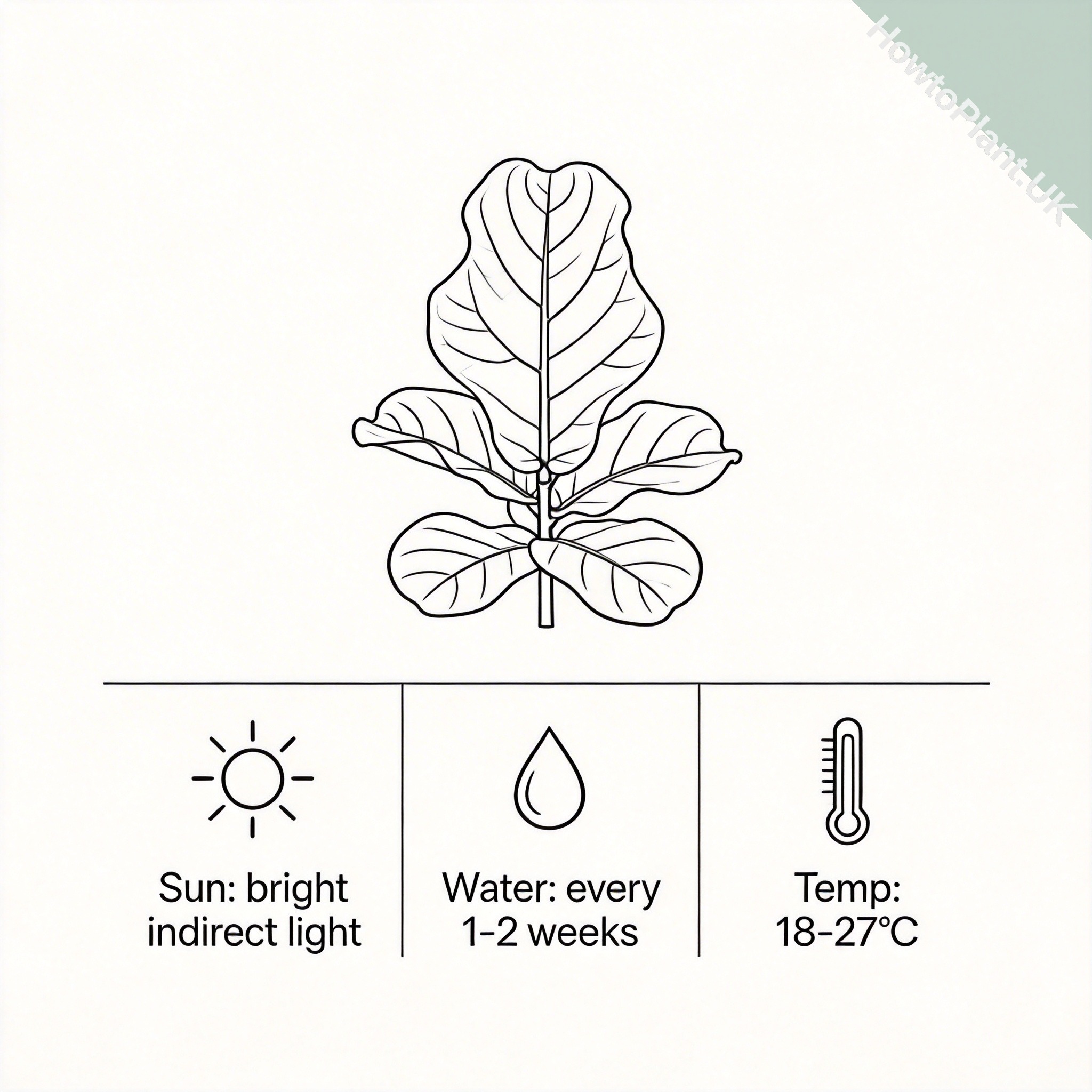 Fiddle Leaf Fig care instruction card