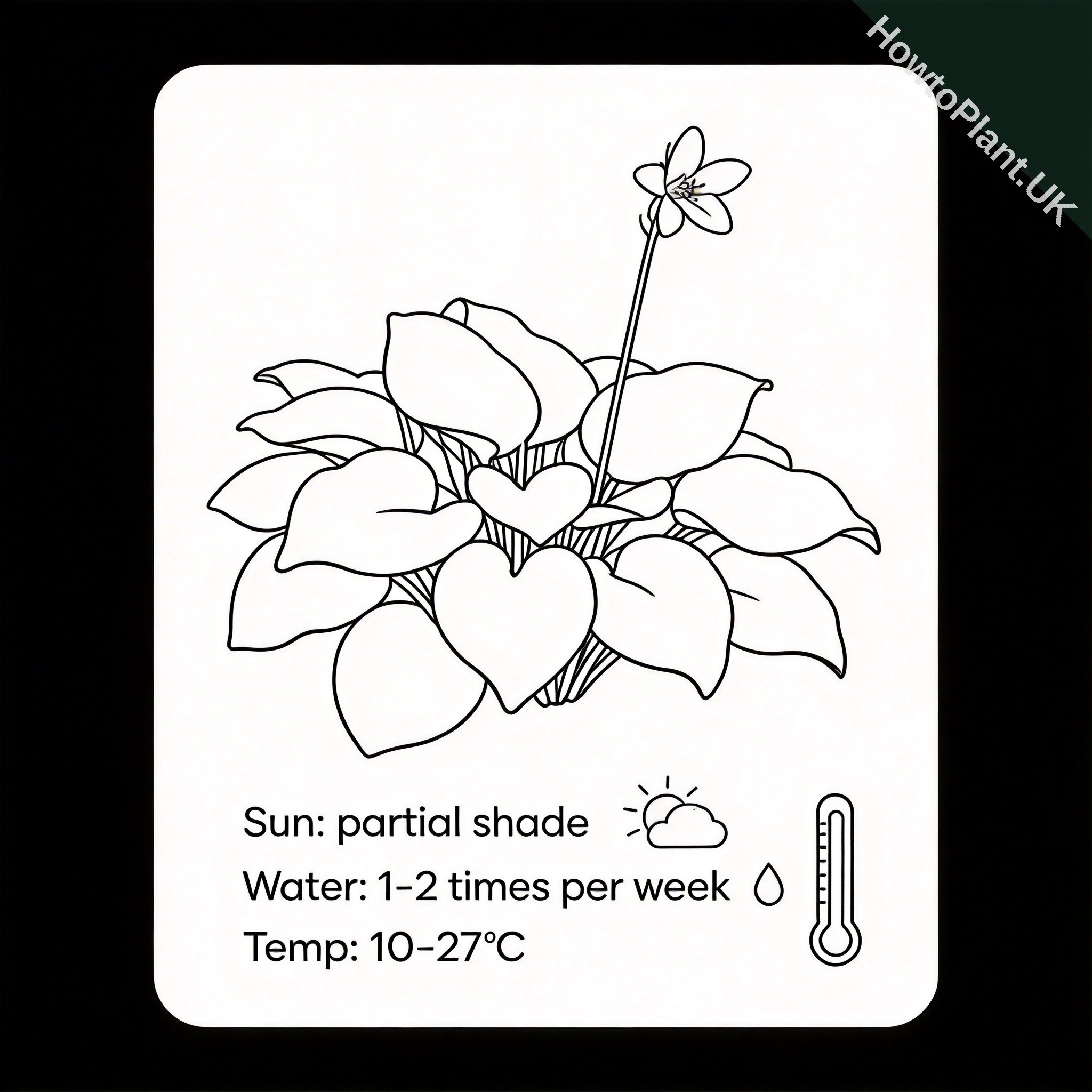 Hosta care instruction card