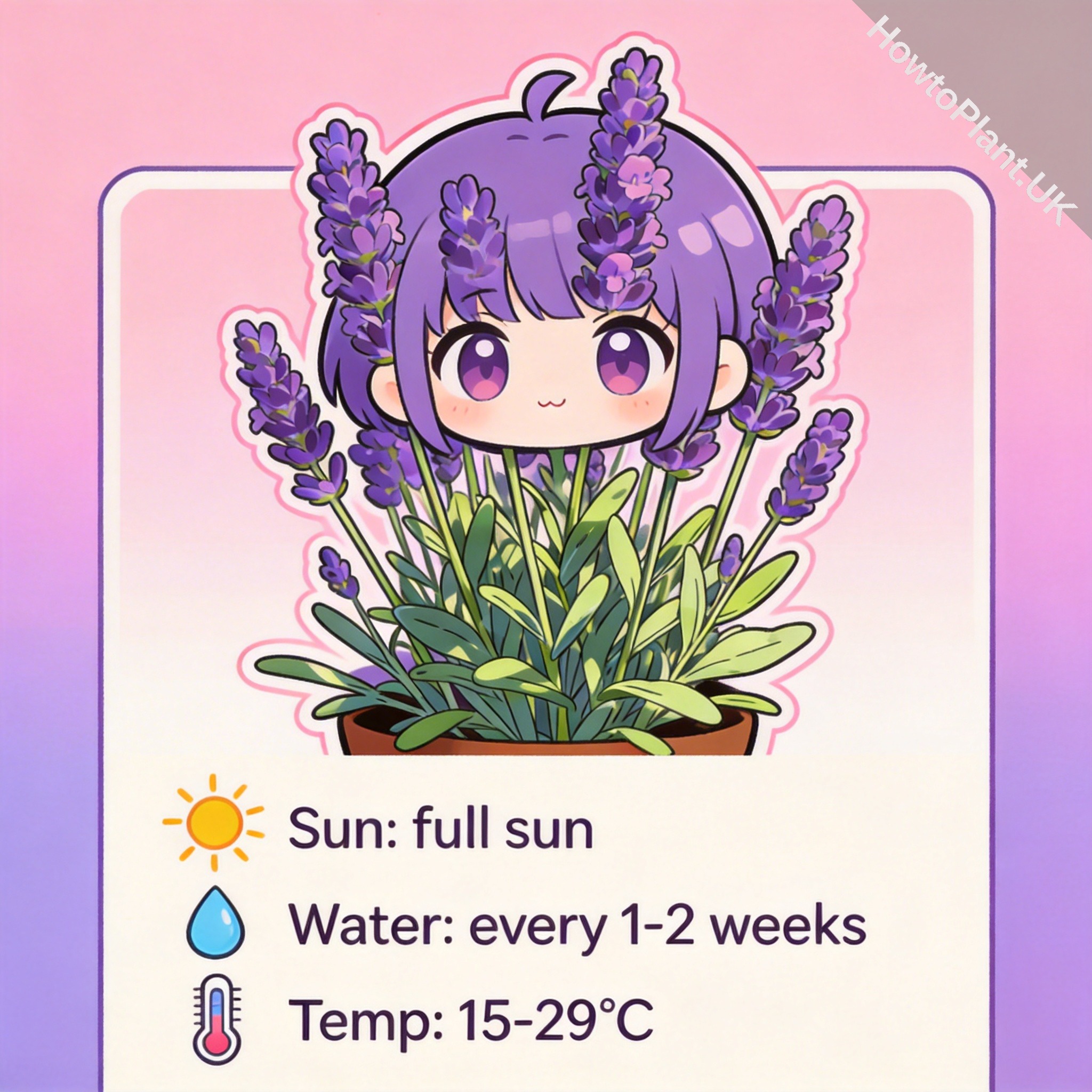 Lavender care instruction card