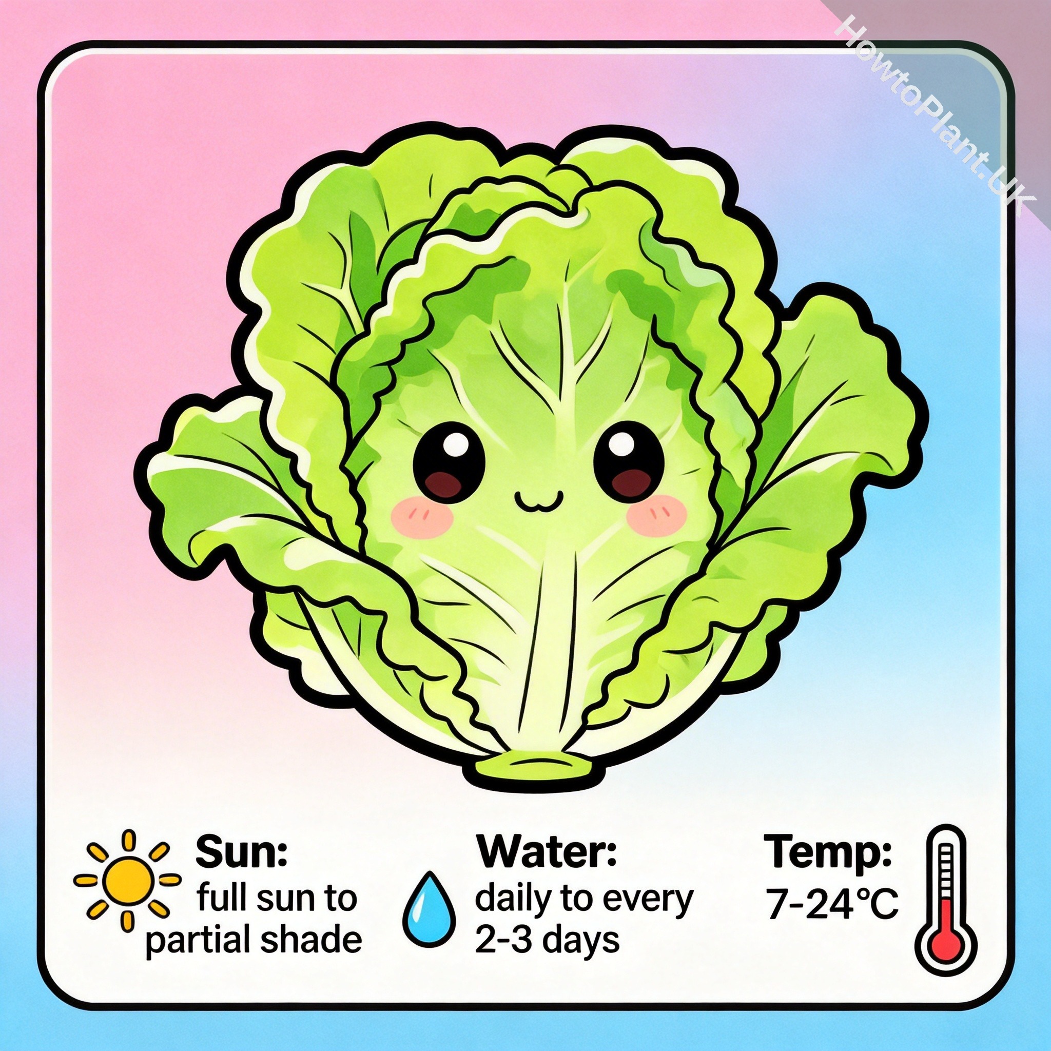 Lettuce care instruction card