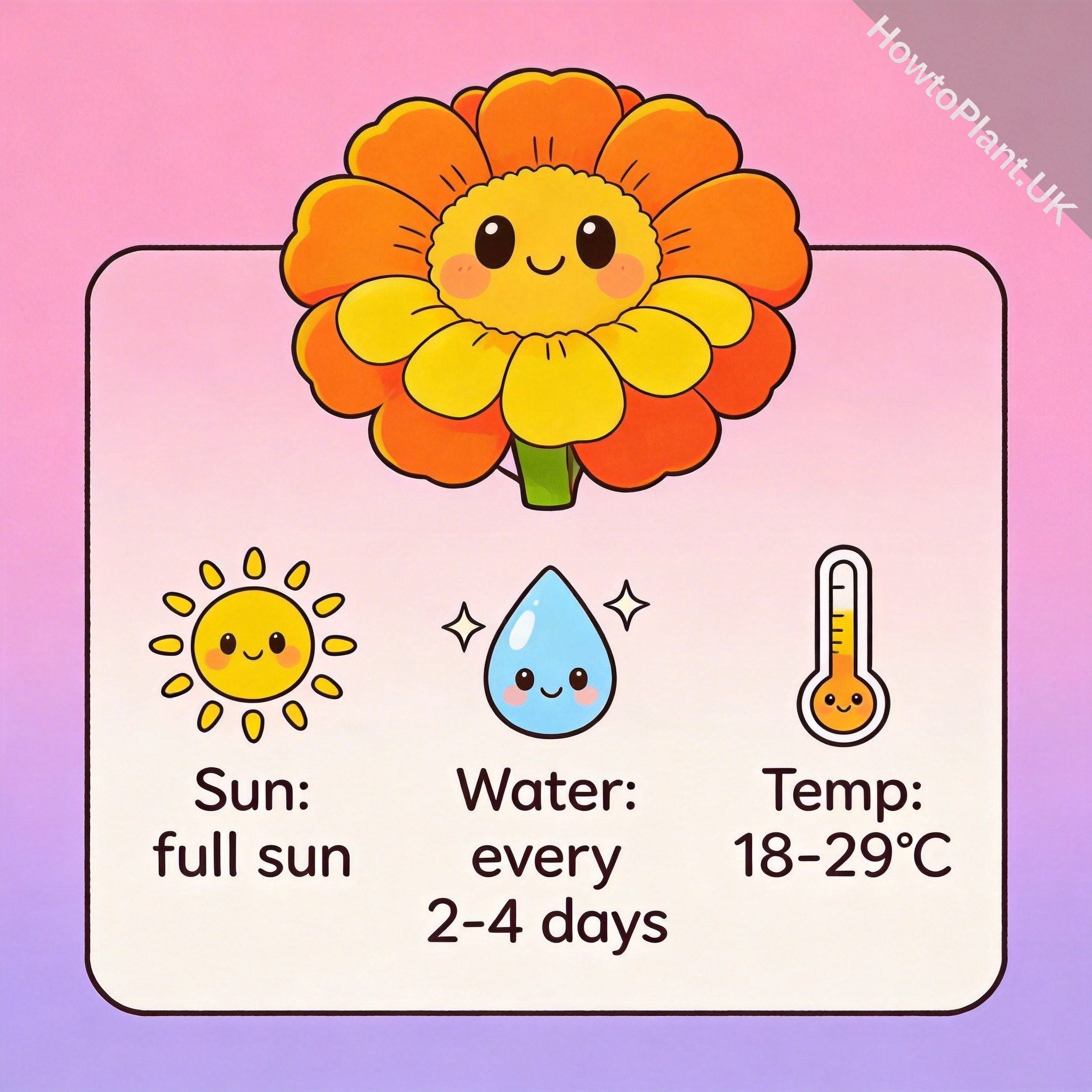 Marigold care instruction card