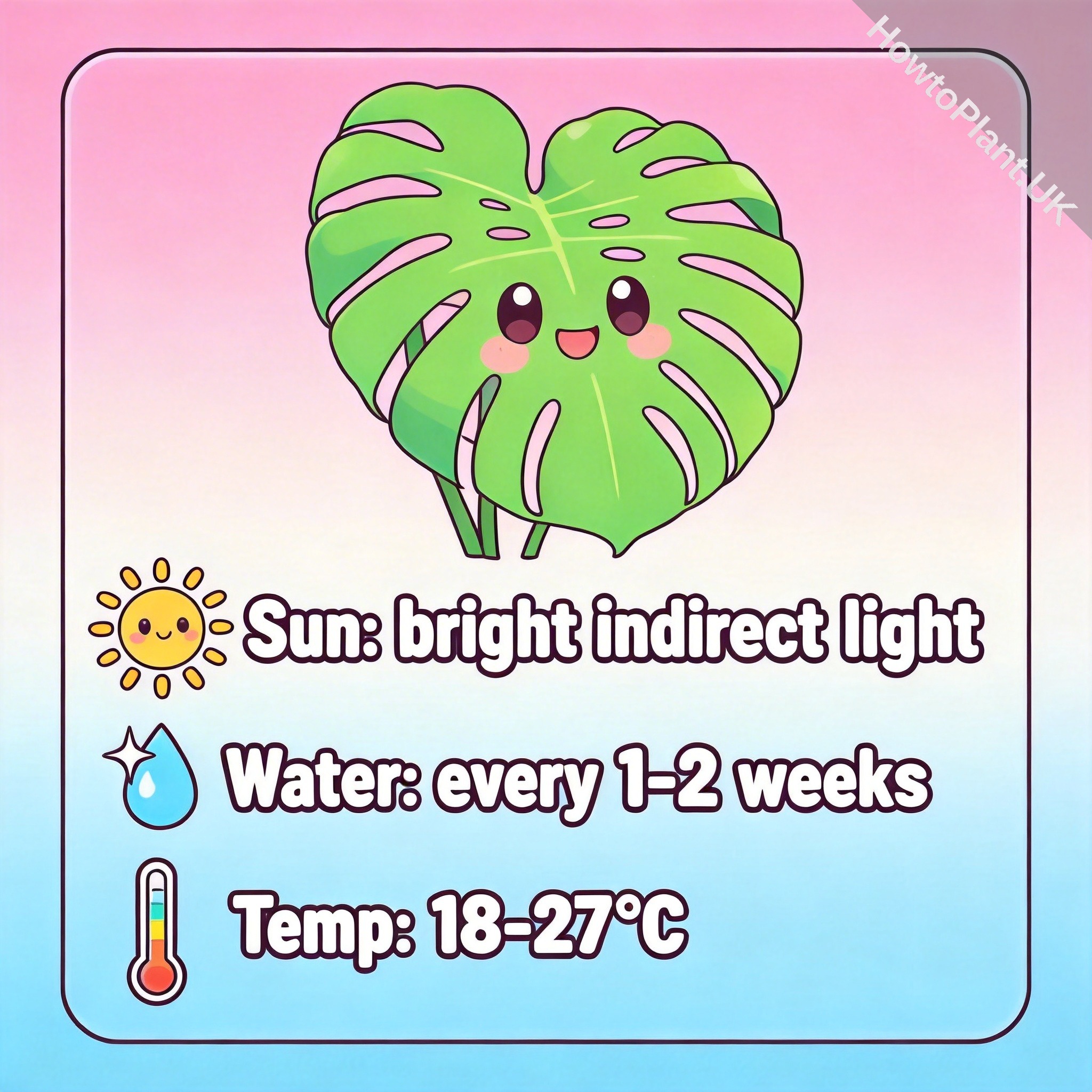 Monstera care instruction card