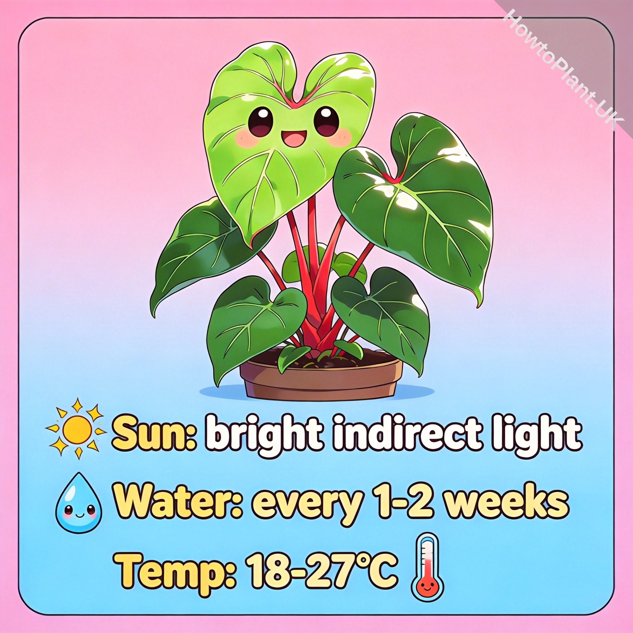 Philodendron care instruction card