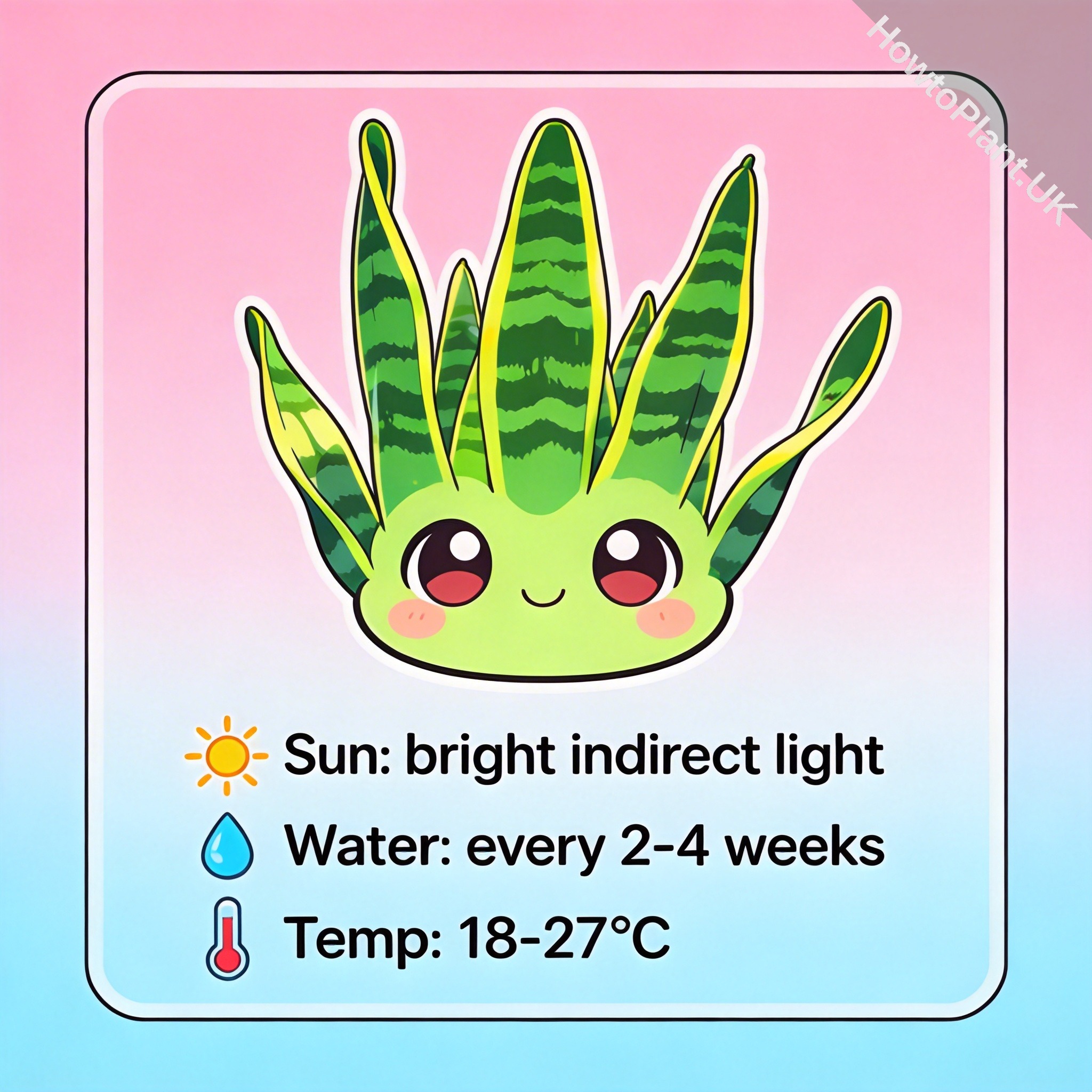 Snake Plant care instruction card