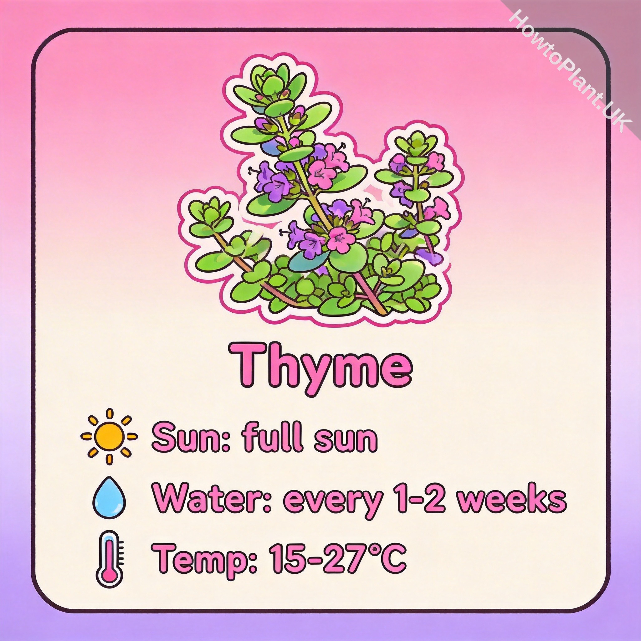 Thyme care instruction card